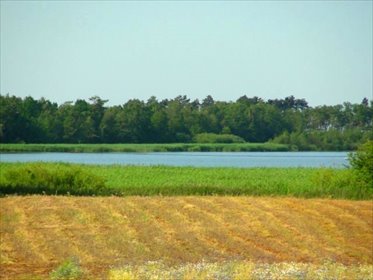 Działka nad morzem z możliwością budowy domu lub domków działka Gleźnówko, Gleźnówko