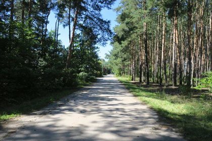 działka na sprzedaż 27400m2 działka Wsola, Sosnowa