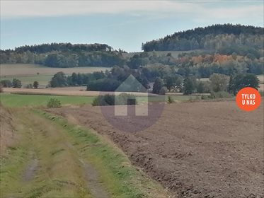 działka na sprzedaż 3000m2 działka Bielawa