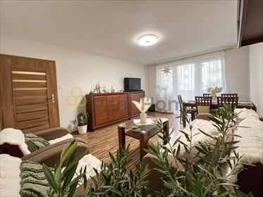 mieszkanie na sprzedaż 61m2 mieszkanie Zielona Góra