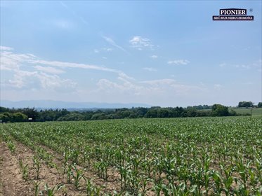 działka na sprzedaż 15000m2 działka Zamarski