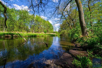 Działka 1ha z warunkami zabudowy, blisko rzeki polecam działka Zabrodzie