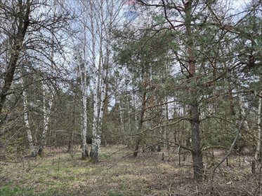 działka na sprzedaż 1432m2 działka Kuklówka Radziejowicka, Tarninowa