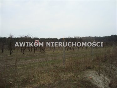 działka na sprzedaż 32100m2 działka Tarczyn, Many