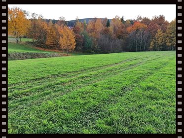 Działka budowlana na sprzedaż Grabie 3 700m2 Foto 2