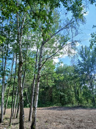 Działka 984 m² z potencjałem inwestycyjnym i funkcją mieszkaniowo-usługową działka Góra Kalwaria, Marianki, Walewicka