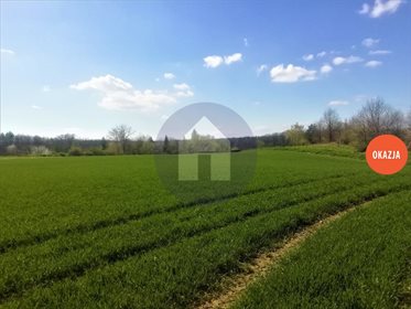 Działka budowlana na sprzedaż Kruków 1 200m2 Foto 2