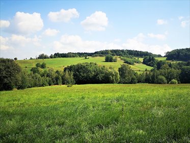 Działka rolna z widokiem - media, las, rekreacja działka Szymbark