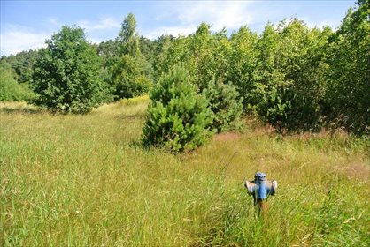 działka na sprzedaż 6335m2 działka Daleszyce, Danków-Wójtostwo
