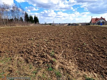 Działka 900 m² w Łuczycach (widokowa, media, MPZP) działka Łuczyce