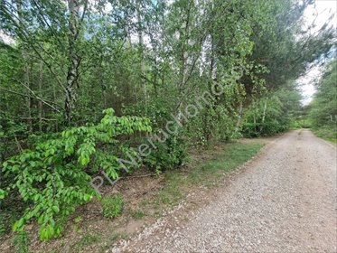 Działka budowlana 2000 m² w Strzeniówce - spokojna okolica. działka Strzeniówka