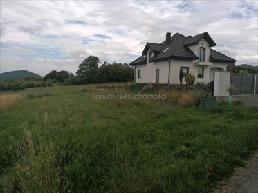 Działka budowlana na sprzedaż Dębowina 3 280m2 Foto 5
