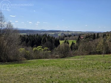 działka na sprzedaż 5800m2 działka Rzepiennik Strzyżewski