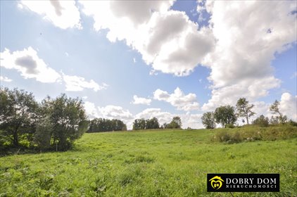 Działka 1,5 ha z dwoma domami w Wobały - polecam działka Wobały
