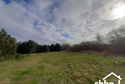 działka na sprzedaż 1000m2 działka Branica