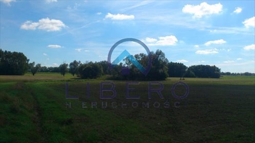 dom na sprzedaż 100m2 dom Słończewo