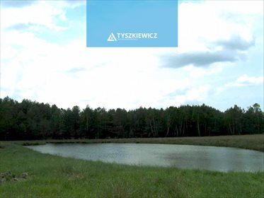 Działka siedliskowa na sprzedaż Studzienice, Prądzonka 34 000m2 Foto 6