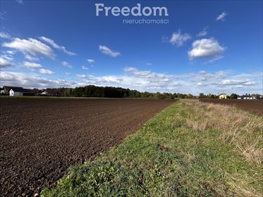 działka na sprzedaż 5488m2 działka Polanka Wielka, Spacerowa