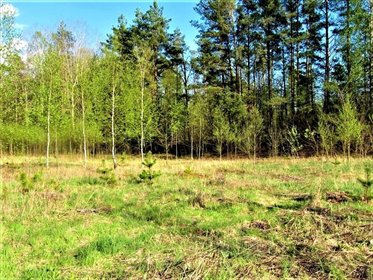 działka na sprzedaż 983m2 działka Turośń Kościelna, Kolejowa