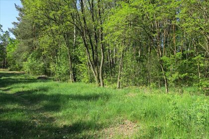 Działka rolna na sprzedaż Słupica 8 100m2 Foto 5