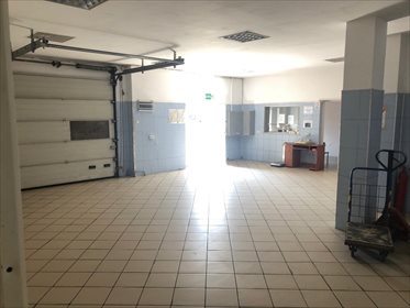 Magazyn na wynajem Włocławek, Witosa 290m2 Foto 2