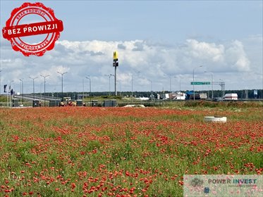 działka na wynajem 4000m2 działka Leszno, Szkolna