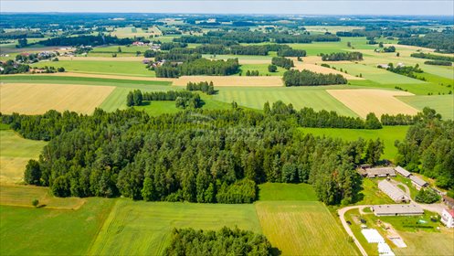 Działka inna na sprzedaż Chwaszczewo 27 254m2 Foto 1