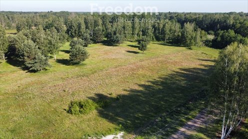 Zapraszam do zakupu działki 1670 m² w Stare Budy Radziejowskie działka Stare Budy Radziejowskie, Wierzby