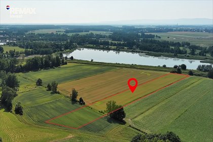 Działka rolna 1,09 ha z stawami - zapraszam działka Dankowice, Świętego Maksymiliana Kolbe