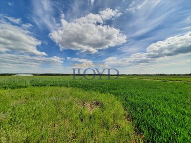 Dom na sprzedaż Będków, Ujazdowska 177m2 Foto 7