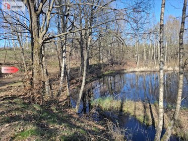 działka na sprzedaż 31100m2 działka Jeleńcz