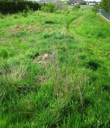 działka na sprzedaż 3372m2 działka Szczecin, Mierzyn