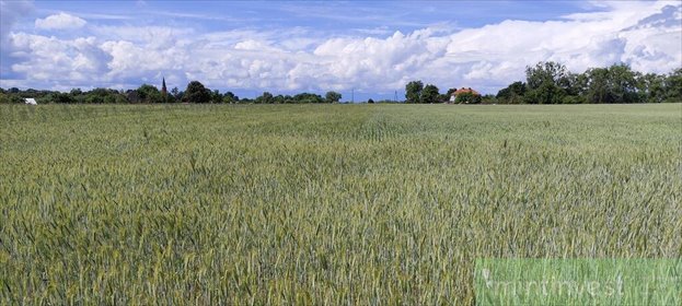 Działka 1195 m² w Żarnowie, inwestycja polecam! działka Żarnowo