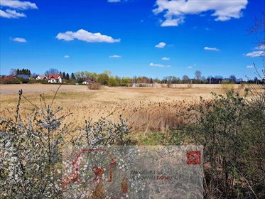 działka na sprzedaż 5000m2 działka Miłocin