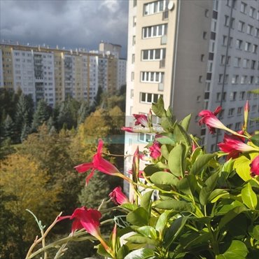 Do sprzedania funkcjonalne 3-pokojowe mieszkanie 63 m² na Bielanach mieszkanie Warszawa, Bielany, Josepha Conrada