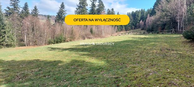 działka na sprzedaż 8000m2 działka Borzęta, Myślenice, Myślenice
