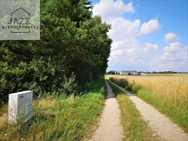 działka na sprzedaż 15000m2 działka Dąbrowa