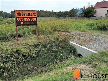 Działka budowlana na sprzedaż Grzybów, Grzybów 3 259m2 Foto 2