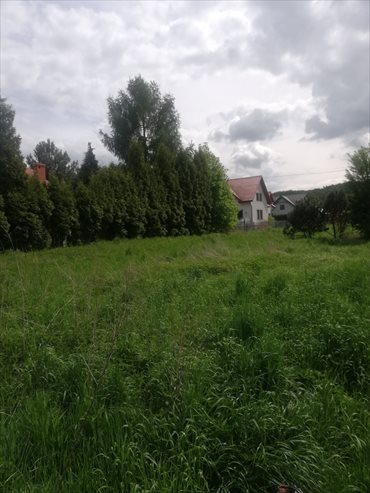 działka na sprzedaż 1000m2 działka Kraków, Krowodrza, Królowej Jadwigi
