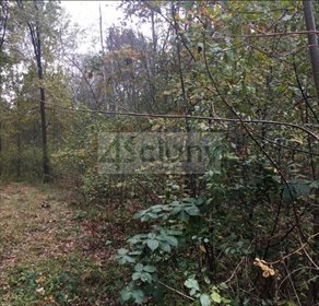 działka na sprzedaż 1521m2 działka Nowy Prażmów