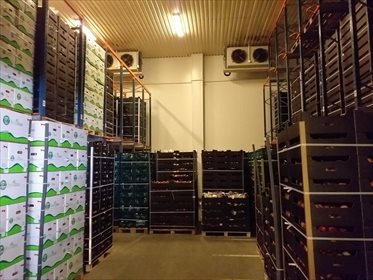 Działka inwestycyjna na sprzedaż Sucha 48 000m2 Foto 1