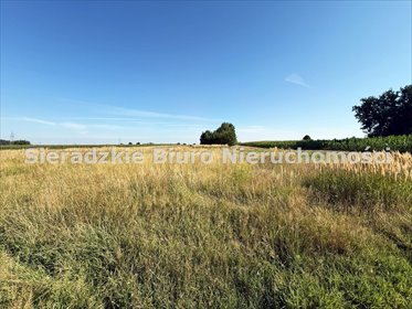 Polecam działkę 2501 m² w Sieradzu z warunkami zabudowy działka Sieradz