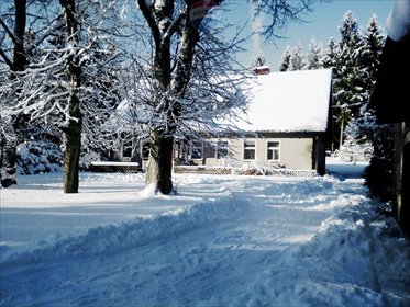 działka na sprzedaż 2300m2 działka Biały Dwór