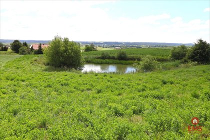 działka na sprzedaż 3003m2 działka Olszanka