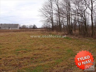 Zapraszam do obejrzenia działki 3000 m² w Jarzębowie działka Jarzębowo