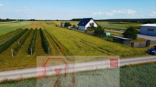 działka na sprzedaż 11700m2 działka Borów-Kolonia