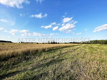 Działka rolna na sprzedaż Pawełki 8 300m2 Foto 4
