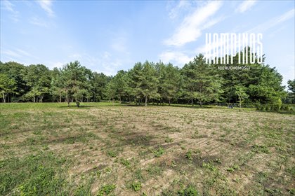 Zapraszam do zakupu działki 5638 m² w Pasikoniu działka Pasikonie, Mustanga