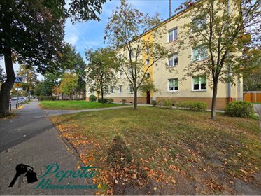 Przestronne 3 pokoje na Ogrodach z balkonem i piwnicą. mieszkanie Poznań, Ogrody, Piękna