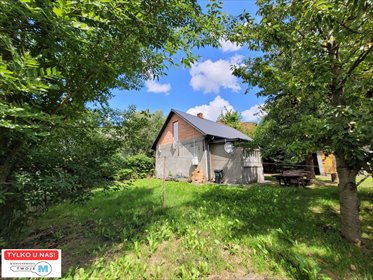 dom na sprzedaż 60m2 dom Działoszyce, Działoszyce, Działoszyce